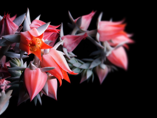 427745 (a): :1600x1200